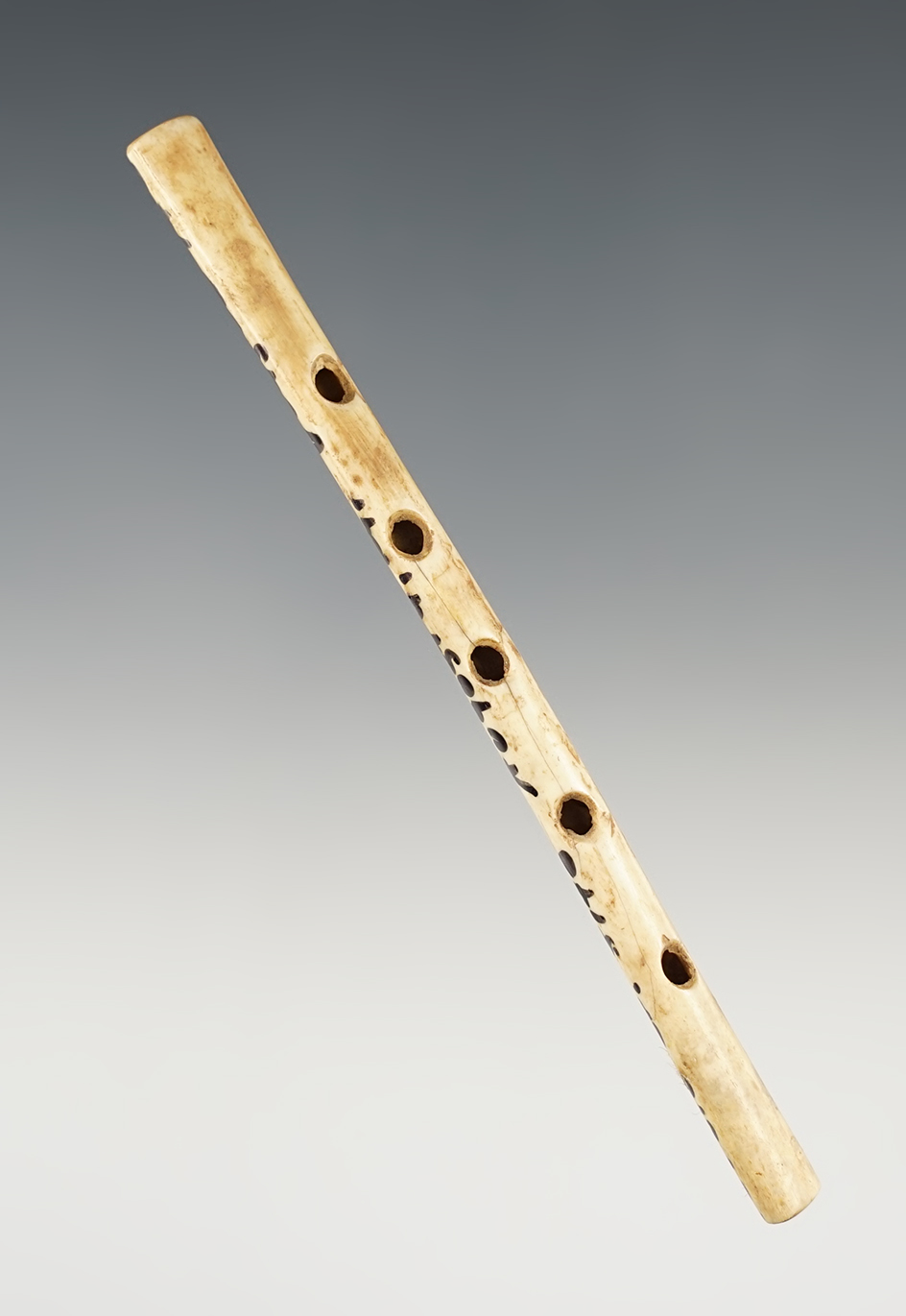 4 1/16" Bone Flute found at the Turtle Creek Site in Augusta, Kentucky.