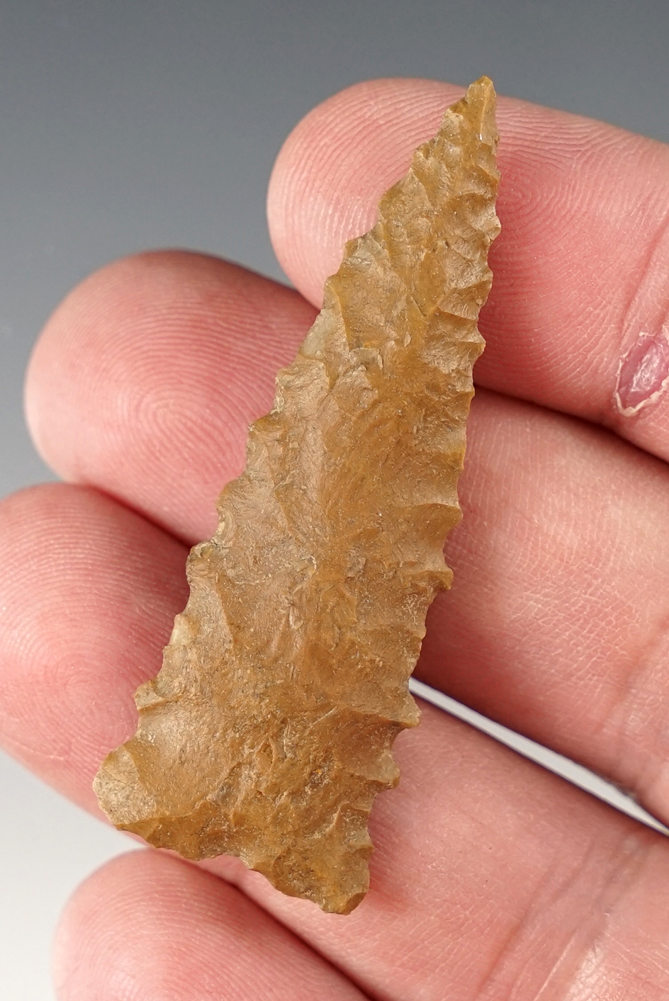 2 1/8" rare serrated Kentucky Ft. Ancient Triangle made from patinated chert. Ex. Tom Davis.