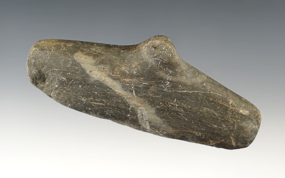 3 15/16" Undrilled Spineback Gorget found in Hancock Co., Ohio by D. Garmatter.