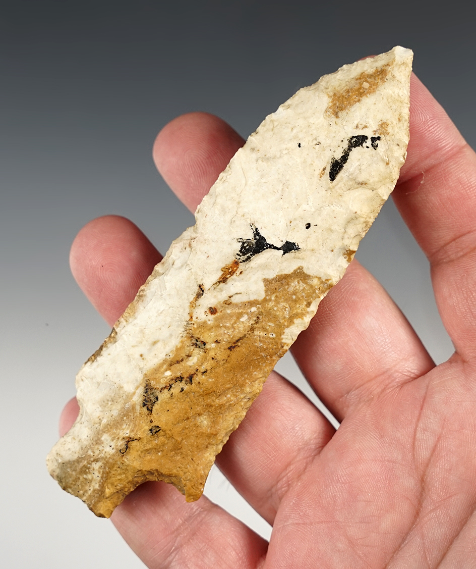 4 5/8" Etley found in Missouri. Made from Burlington Chert. Comes with a Davis COA.