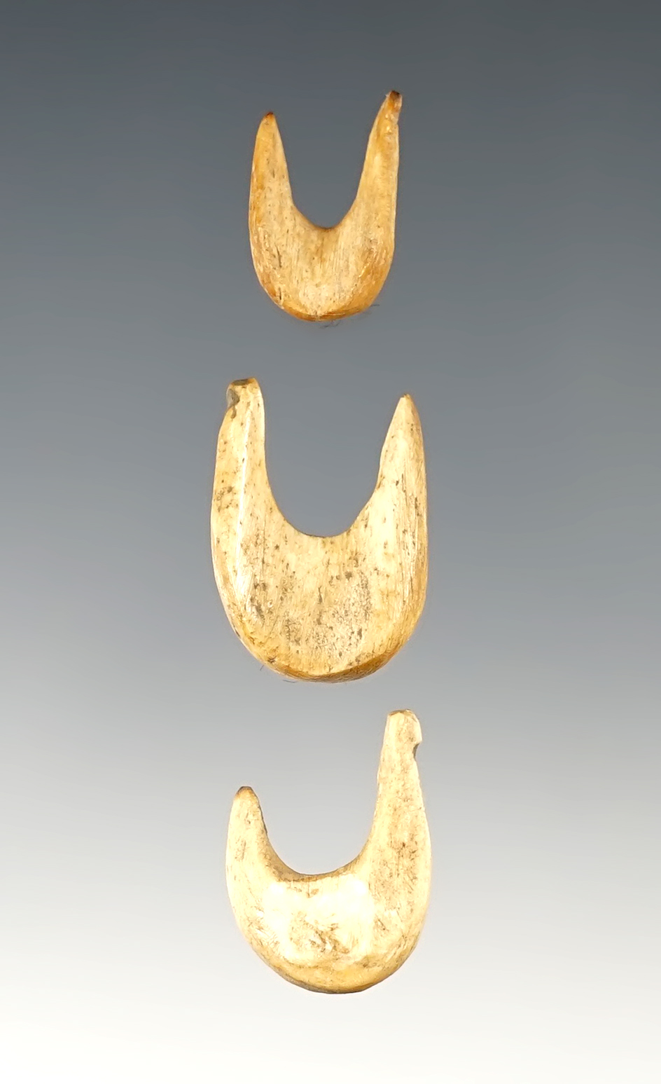 Set of 3 rare miniature Bone Fish Hooks found in Ohio. The largest is 3/4".