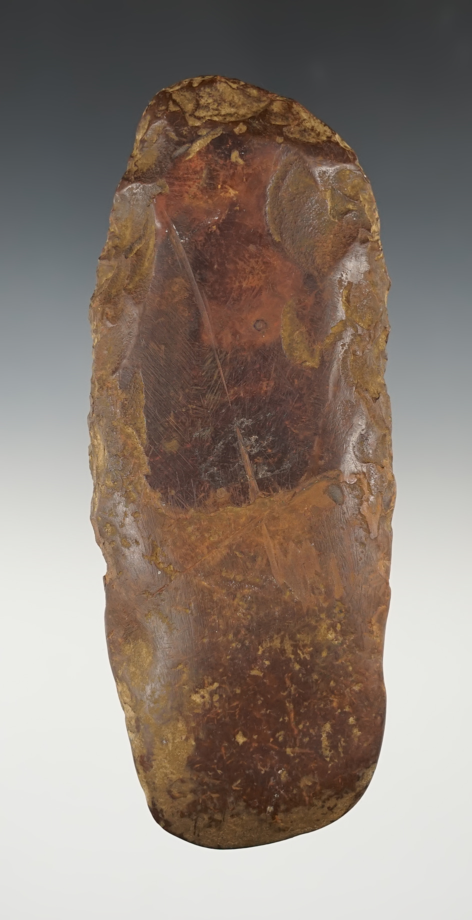 Nice 6 1/2" Limonite Spade found in Clark Co., Kentucky.