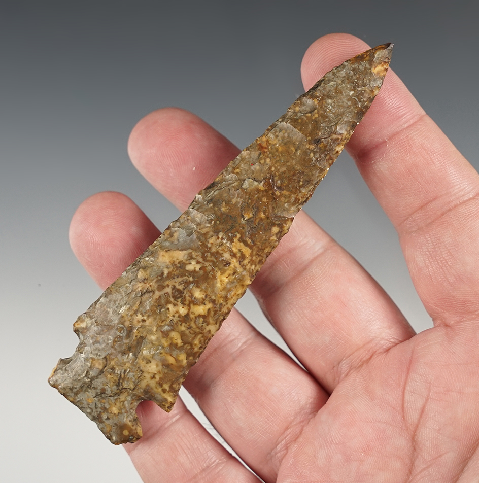 4" nicely colored Graham Cave found in Williamson Co., Illinois. 