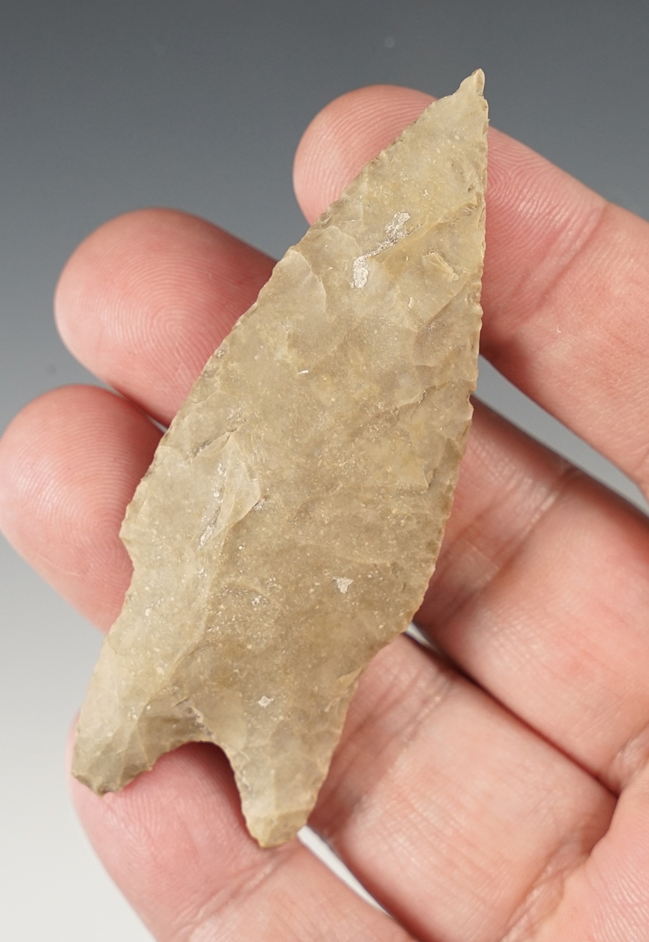 Ex. Museum! Well made Pedernales found in Texas. Ex. Ferrell collection.