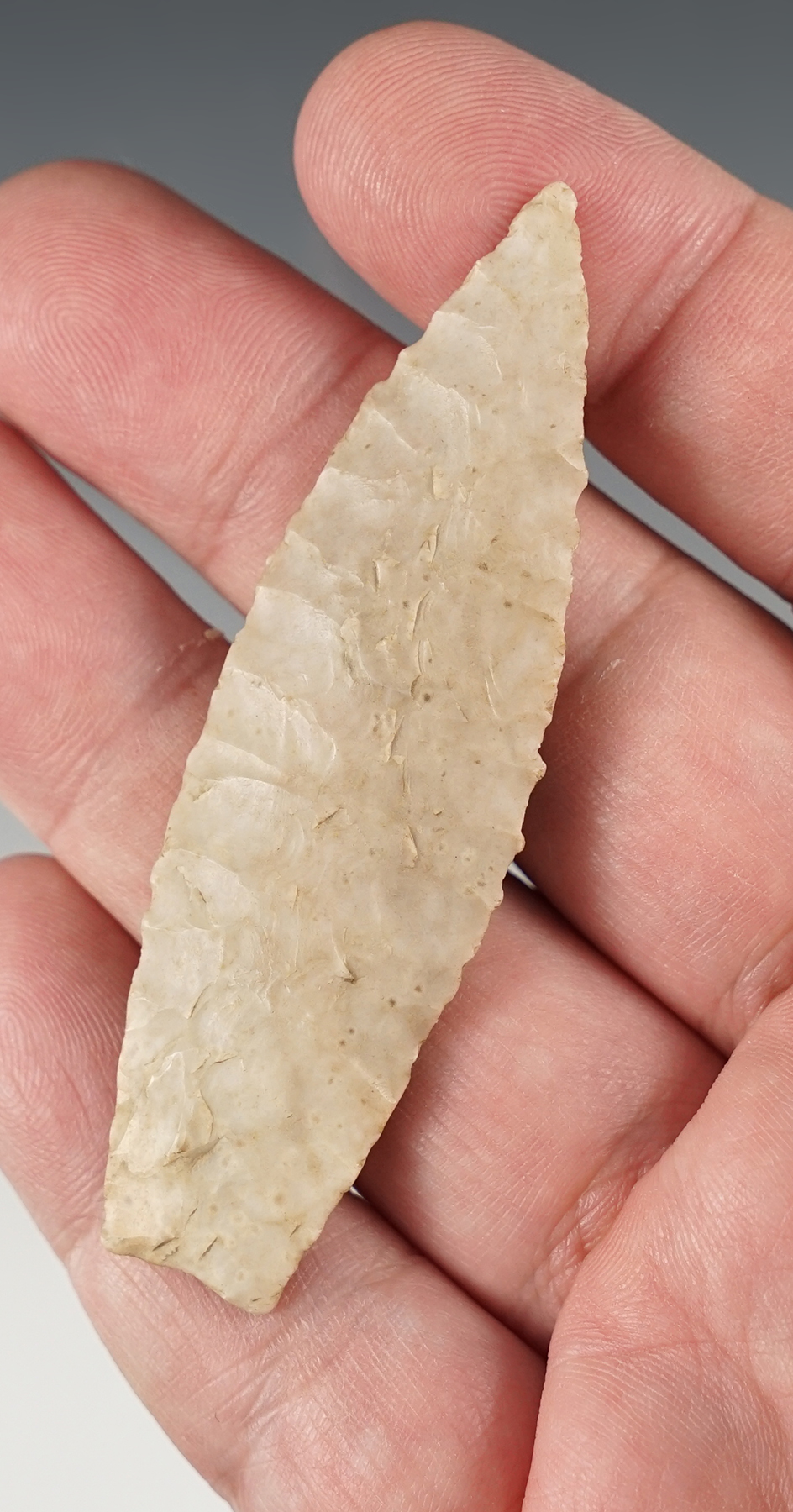 2 7/8" beautifully flaked Paleo Lanceolate with nicely ground lower edges. Found in Illinois. 