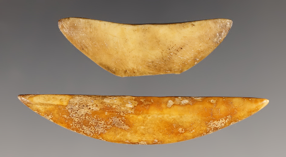 Pair of ivory Inuit clothing buttons, largest is 2".