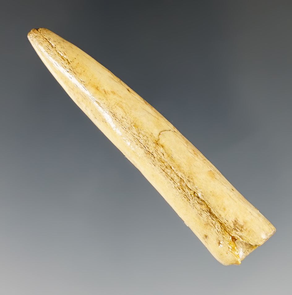 2 1/2" Conical Antler Tine Point found in Alaska.