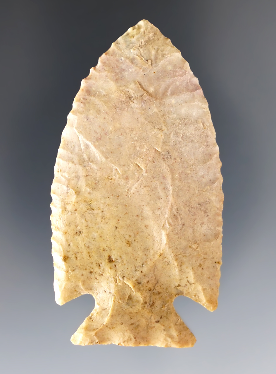 Incredible 2 1/2" Intrusive Mound - Fox Field Site in Mason Co., Kentucky. Ex. Wertz collection.