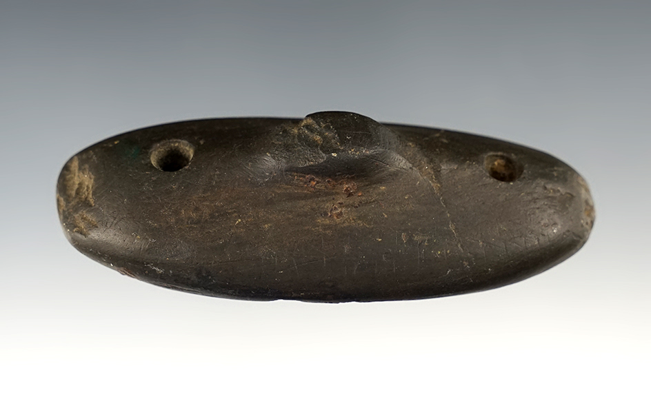 3 1/4" Spineback Gorget found by Jon Stephens in Kenton, Buck Twp., Hardin Co., Ohio.