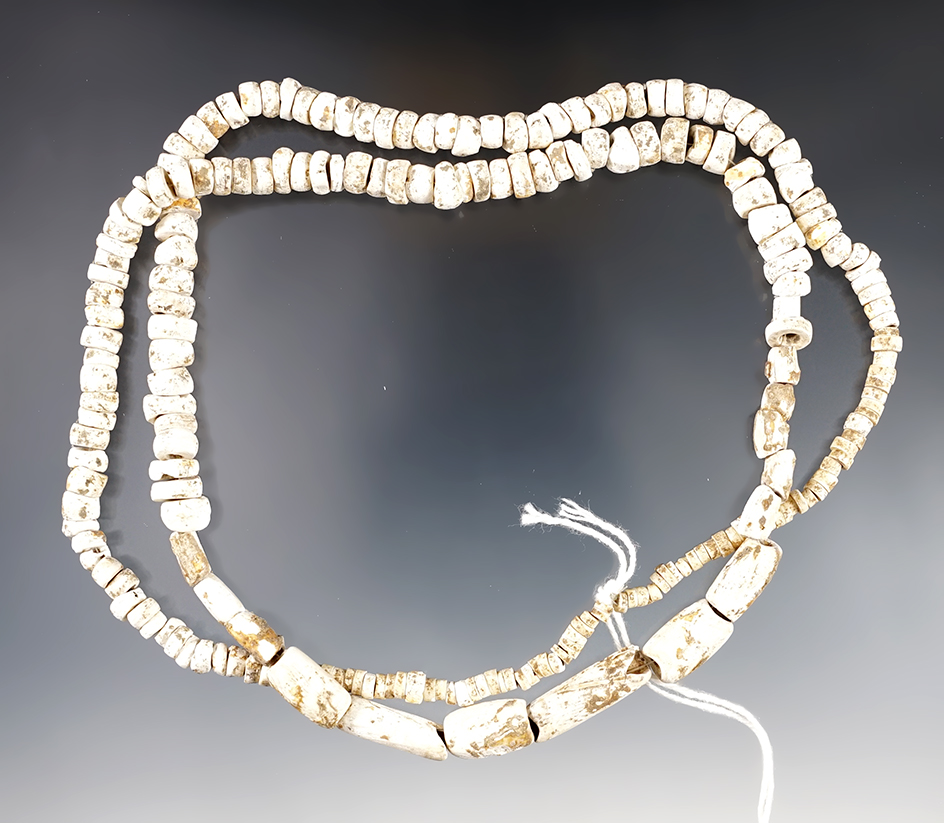 28" long strand of shell beads found in Augusta County Virginia. Ex. Mitch Lewis.