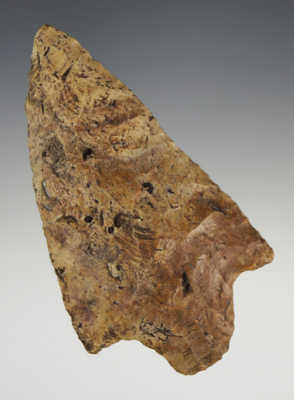 Large 3 13/16" heavily patinated Stemmed Knife found in Pasco Co., Florida.