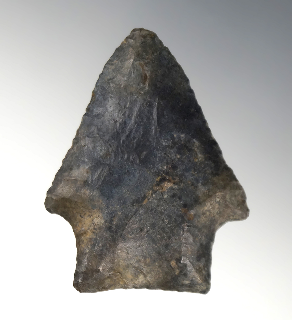 Excellent edge work on this 2 3/16" Wacissa made from beautiful material found in Florida.