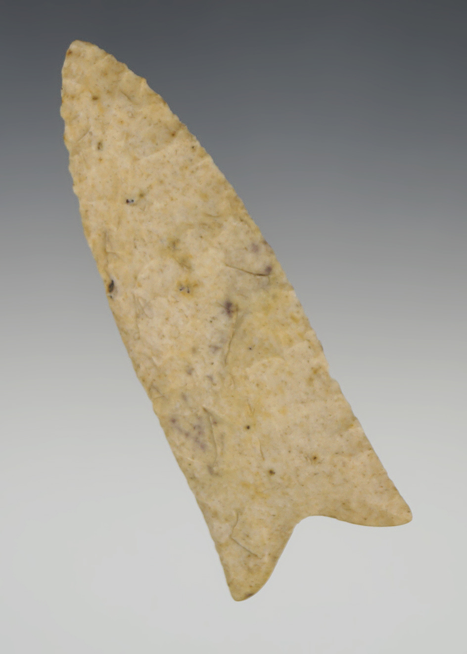 Excellent flaking and style on this 3 7/16" Dalton Point in very nice condition found in Arkansas.