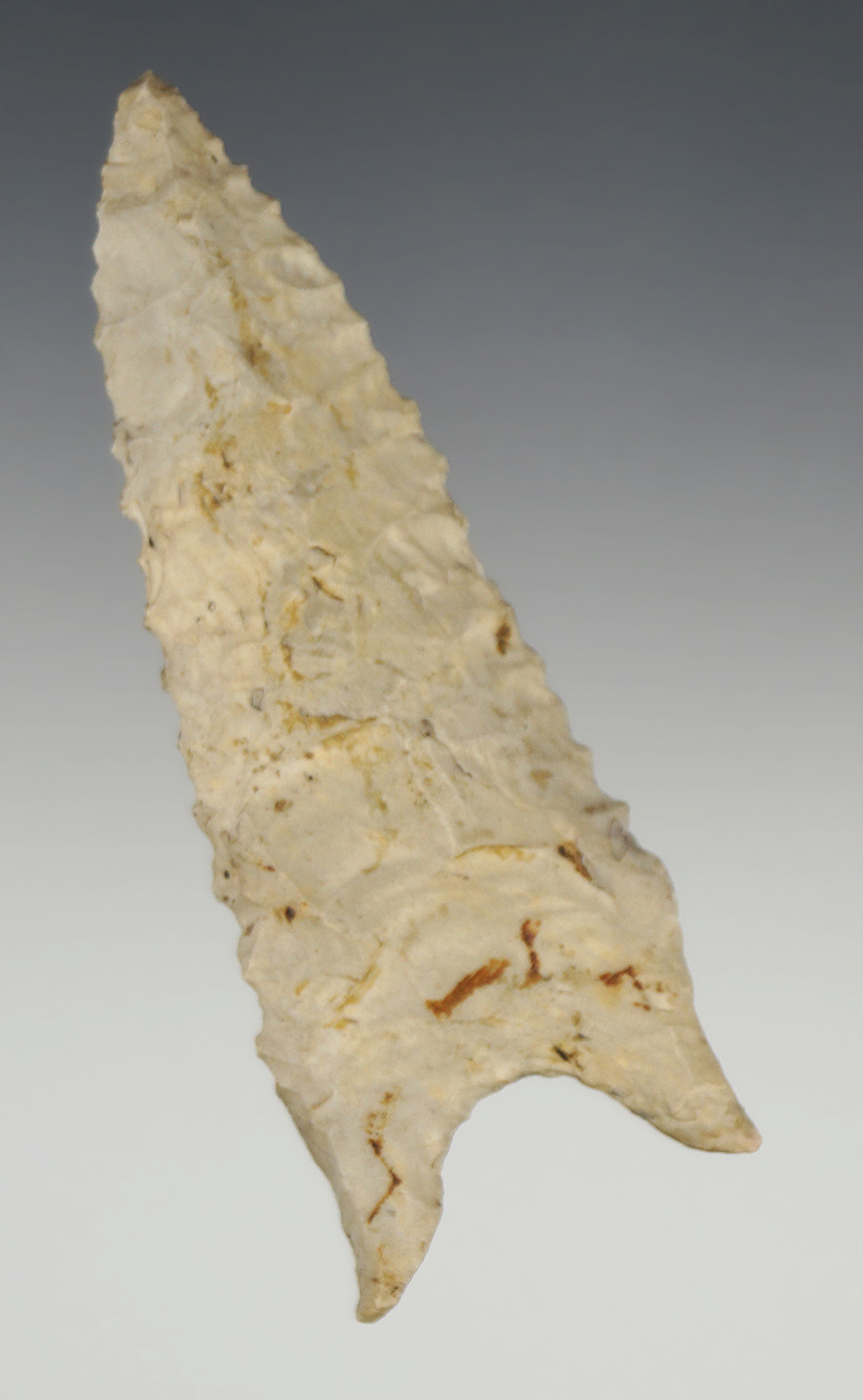 Classic style 3 7/16" nicely serrated Dalton found in Greene Co., Arkansas. Ex. Vancil Collection.