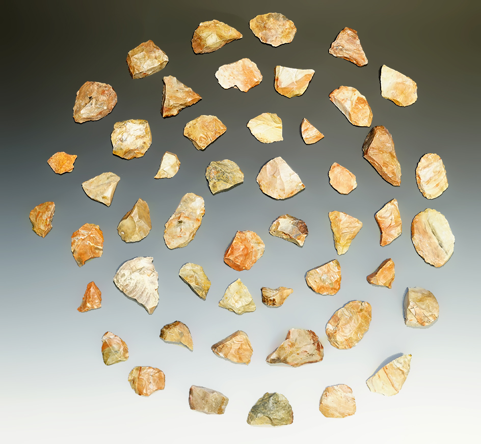 21 Blanks, largest is 3 1/8" from the Gray LaDassor Cache. Made from heat treated Crescent Quarry Fl