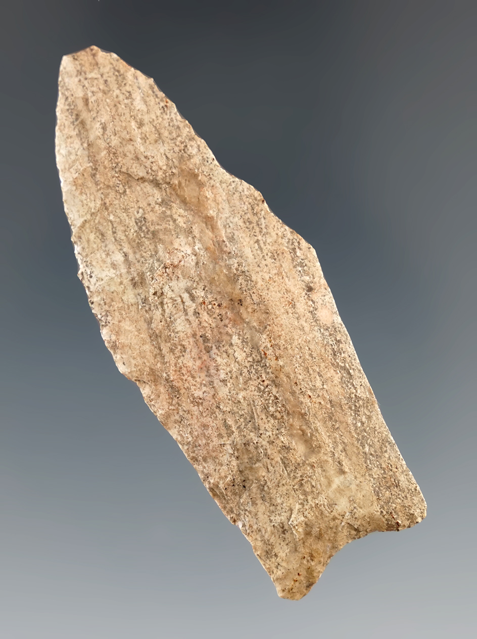 2 9/16" Plainview found in Colorado. Comes with a Rogers COA.