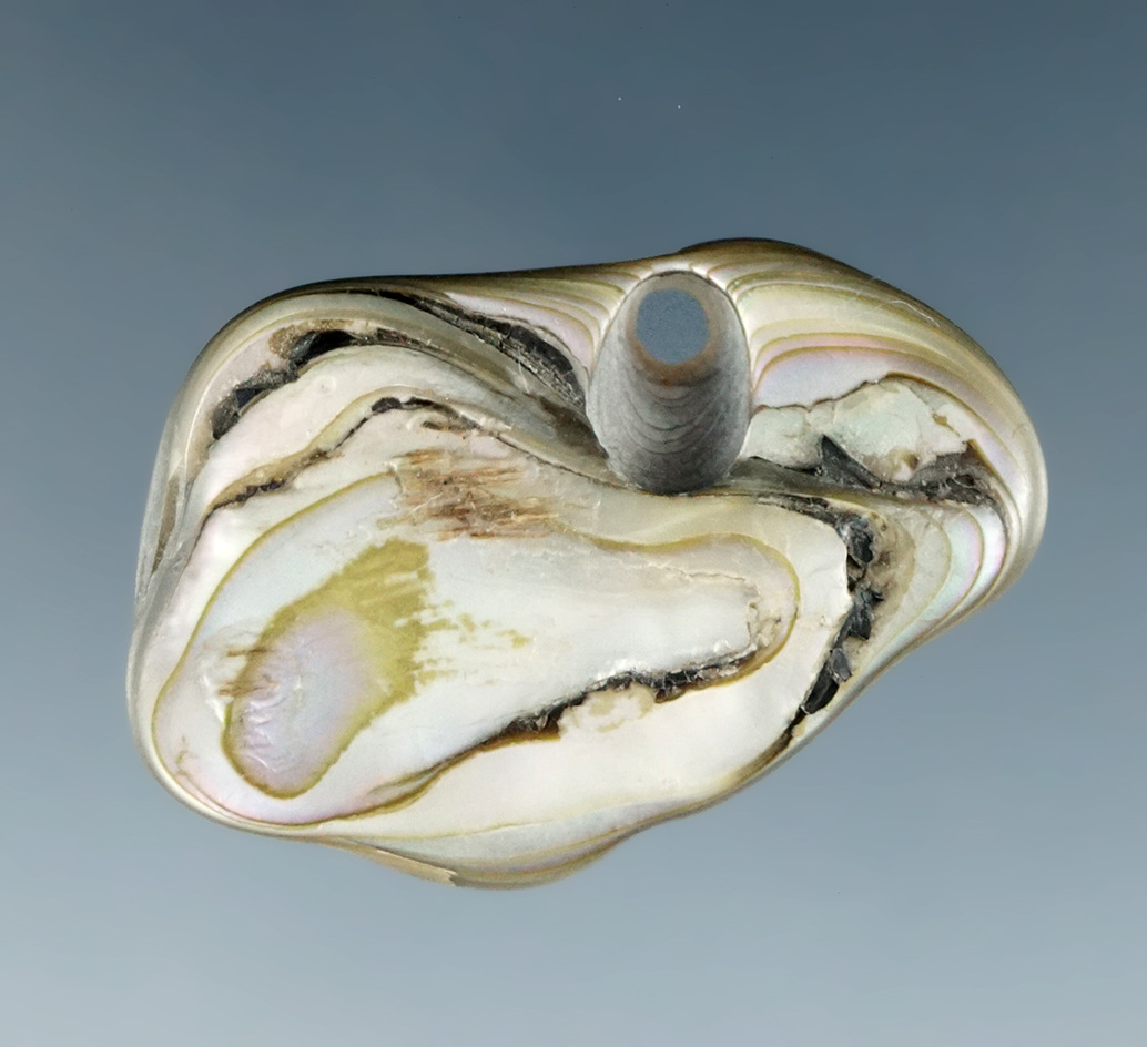 Beautifully patinated and nicely colored 1 1/4" abalone shell pendant drilled for suspension WA.