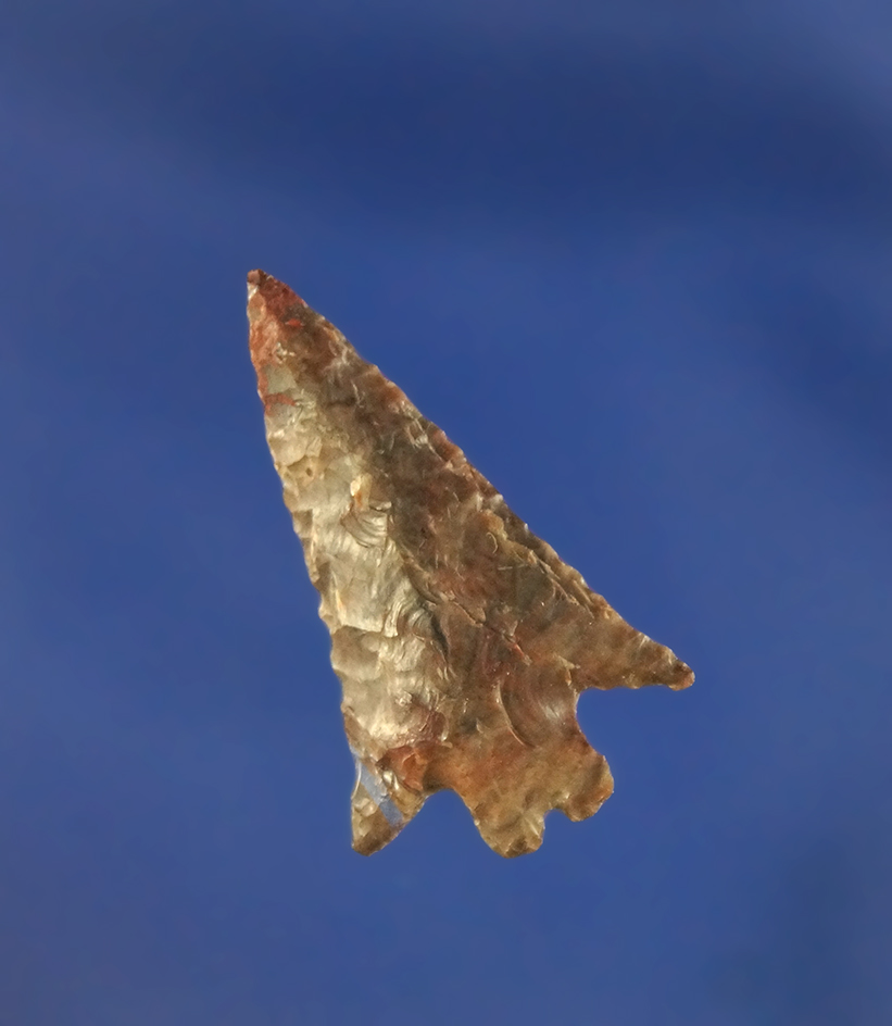 Thin and well flaked 1 1/8"  Columbia Plateau Split Stem found near the Columbia River, WA