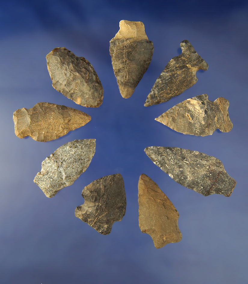 Group of 9   Arrowheads found in North Carolina and Virginia. Largest is 2".