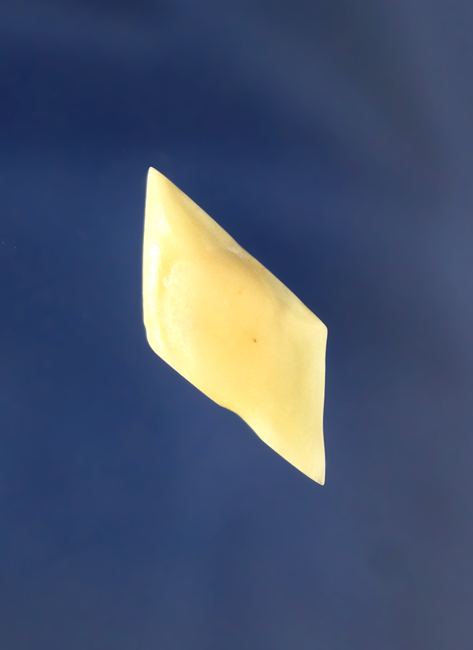 1 1/8"  Gar Scale Point found - Texas Gulf Coast. Pictured- comes with a Perino COA.