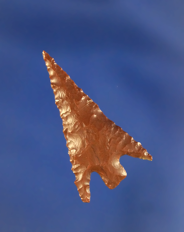 1 1/4" brown Jasper Columbia Plateau. Found near the Columbia River, Washington.