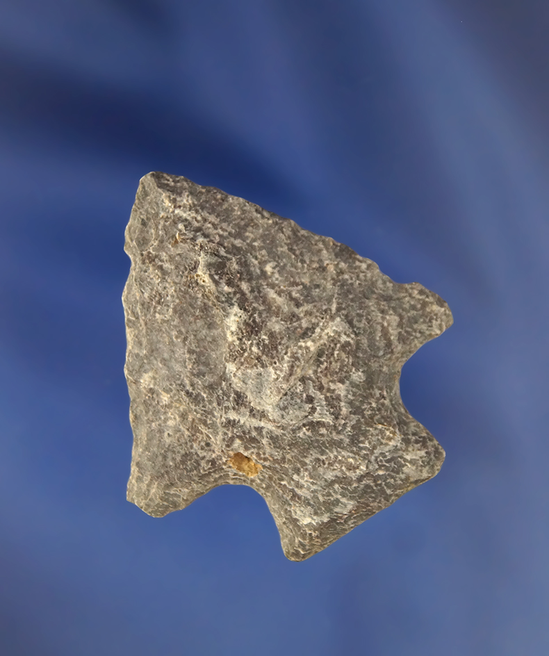 Thin and well styled 1 13/16" Rhyolite  Arrowhead found in Virginia.