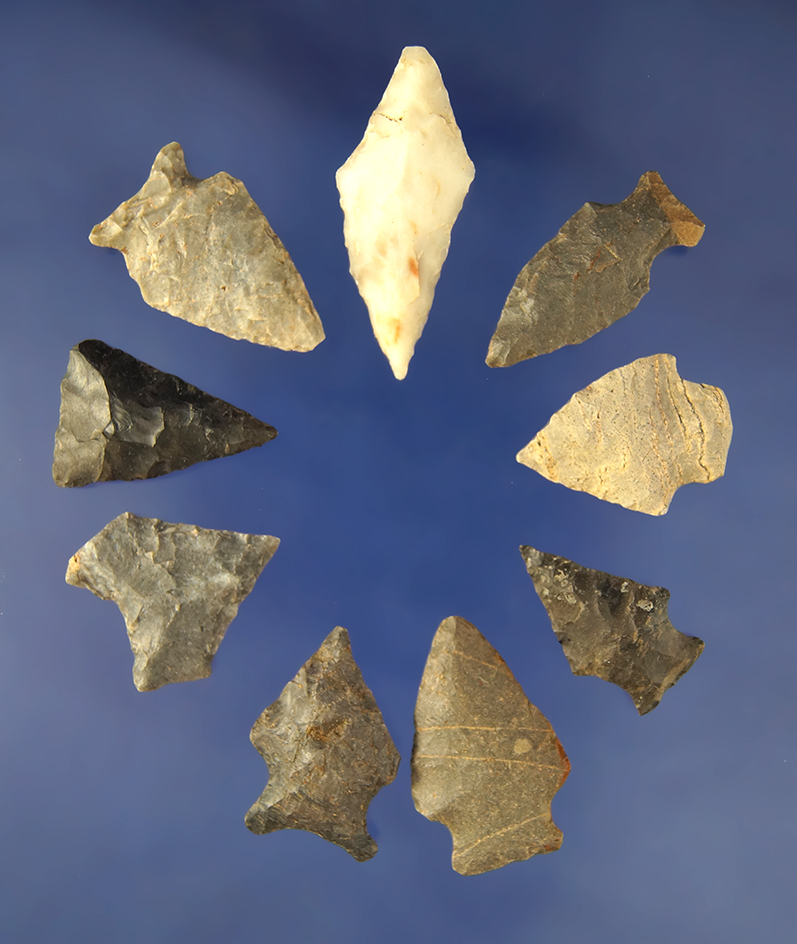 Group of 9 assorted   Arrowheads found in North Carolina and Virginia. Largest is 1 1/2".