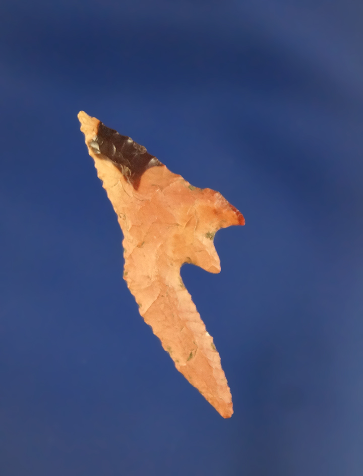 Uniquely styled 1 1/2" Gunther with a very exaggerated eccentric styled Barb found in Oregon.