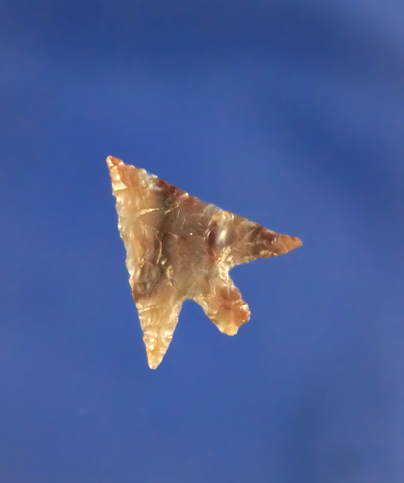 3/4" Gempoint made from beautiful multicolored Agate. Found near the Columbia River, WA.