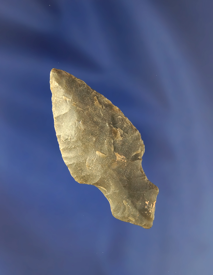 Excellent style on this 2 7/16" Turkeytail found in Kentucky.