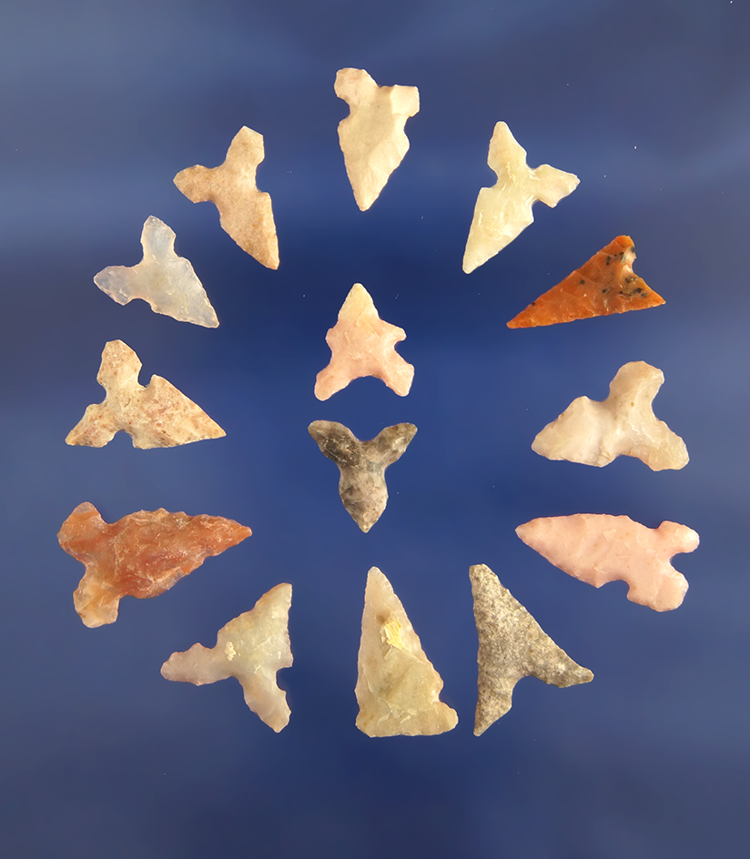 Set of 14 assorted Texas/New Mexico Bird Points.  Largest is 13/16".