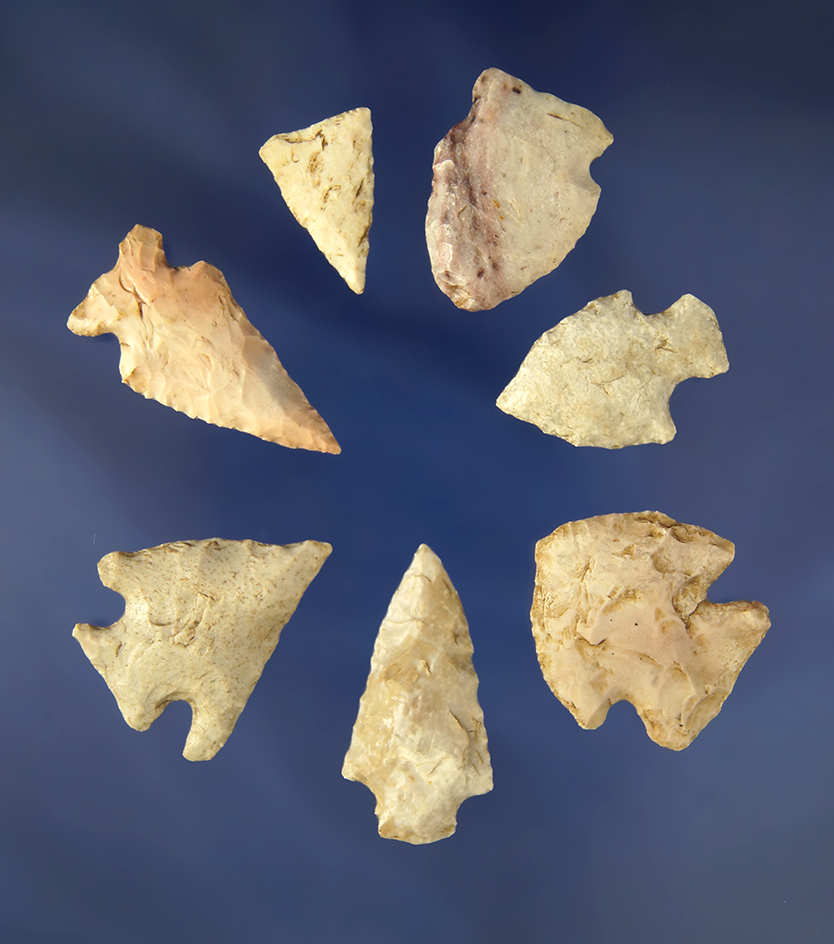 Set of 7 Birdpoints from Cole Co., Missouri. Largest is 1 3/8".