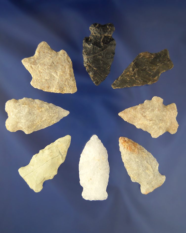 Group of eight assorted Virginia   Arrowheads and nice condition, largest is 1 3/4".