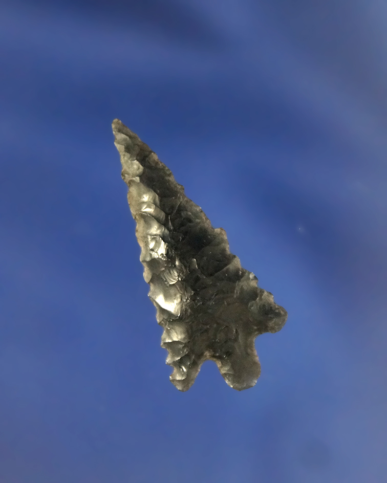 1 5/16" serrated Obsidian point found in Oregon. Ex. Vern Emil, Gordon Erspamer collections.