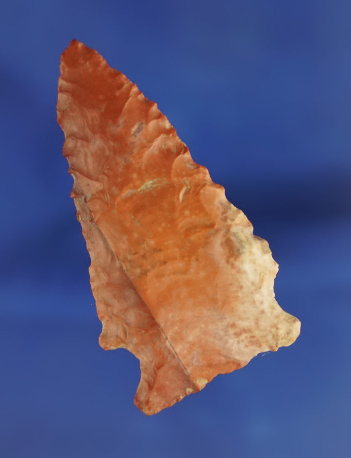 Excellent color on this 2 1/8" Pinetree point found in Mississippi. Ex. Jerry Dickey.