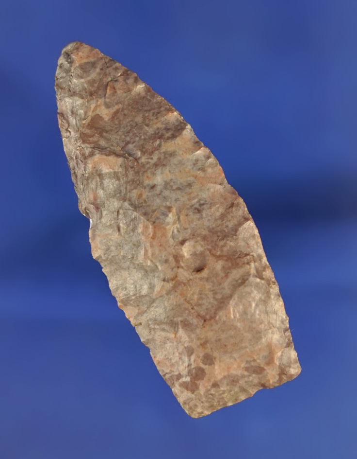 Very attractive 2 5/16" Paleo Lanceolate - Colorado. Comes with a Bennett COA.