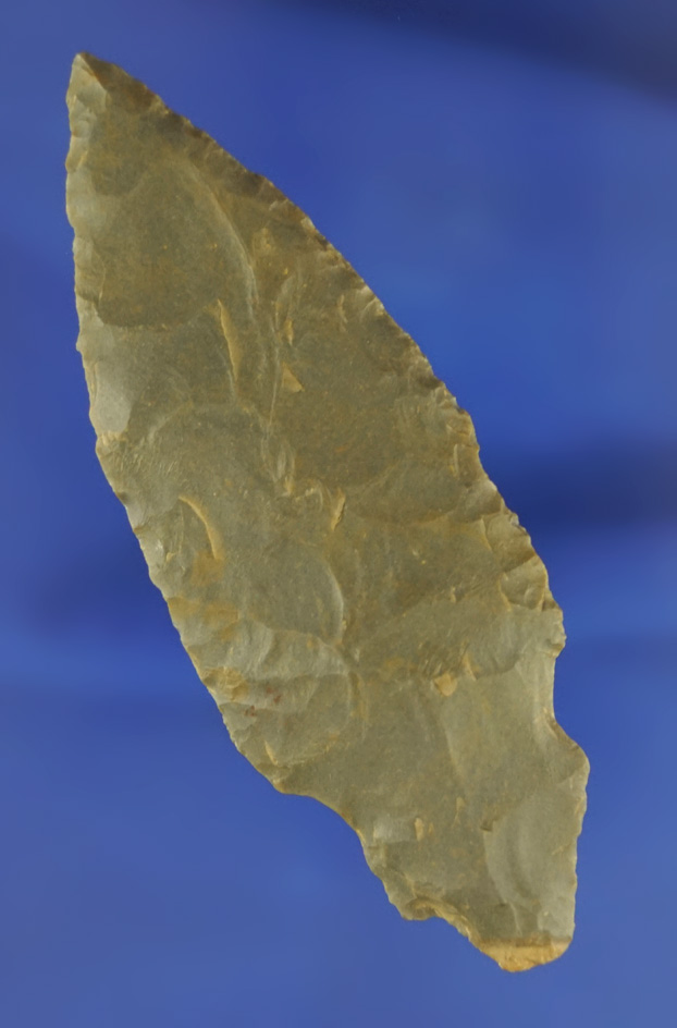 3 7/16" Adena Turkeytail found in Indiana made from heavily patinated hornstone.