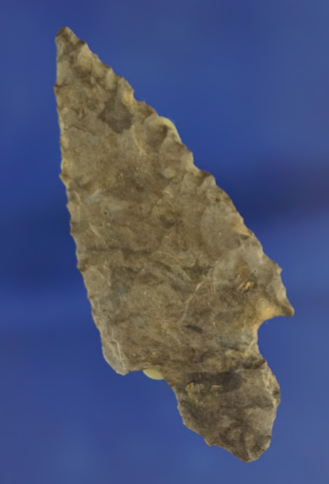 2 3/8" Turkeytail found in Benton Co.,  Tennessee made from Dover Flint.