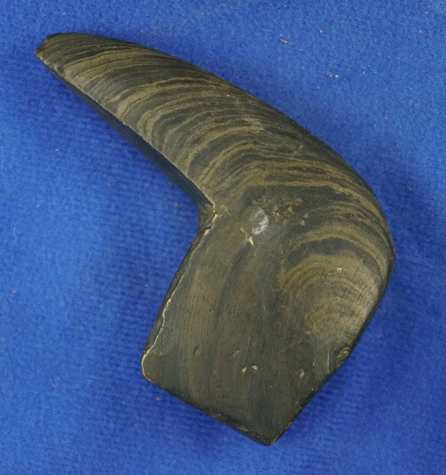 Heavily restored 3 3/8" Geniculate Bannerstone found in Michigan.  Ex. Phil Wagle.