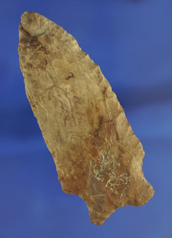 2 15/16" Buzzard Roost Creek found in Culbert Co.,  Alabama.