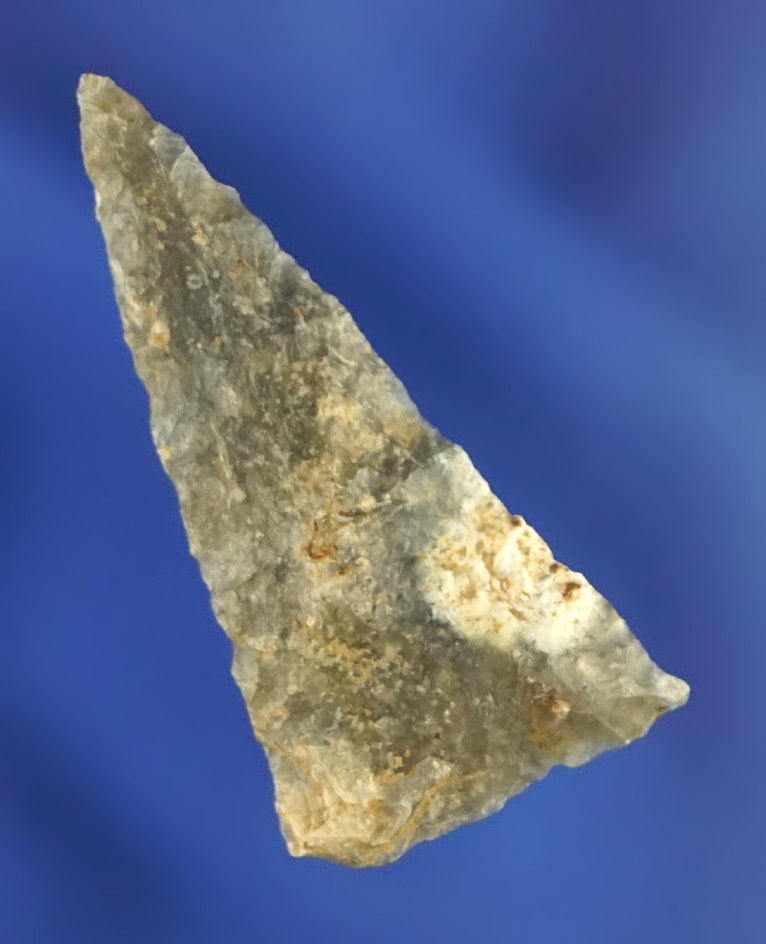 1 7/16" Mississippian Triangle point found in Florida.