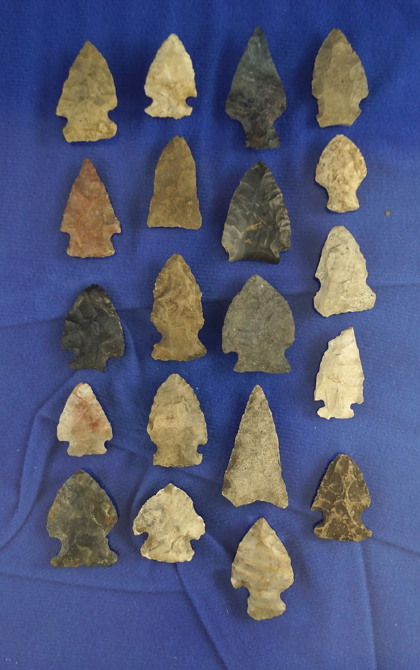Set of 20 assorted arrowheads found in southern Michigan, largest is 1 1/2".  Ex. Phil Wagle.