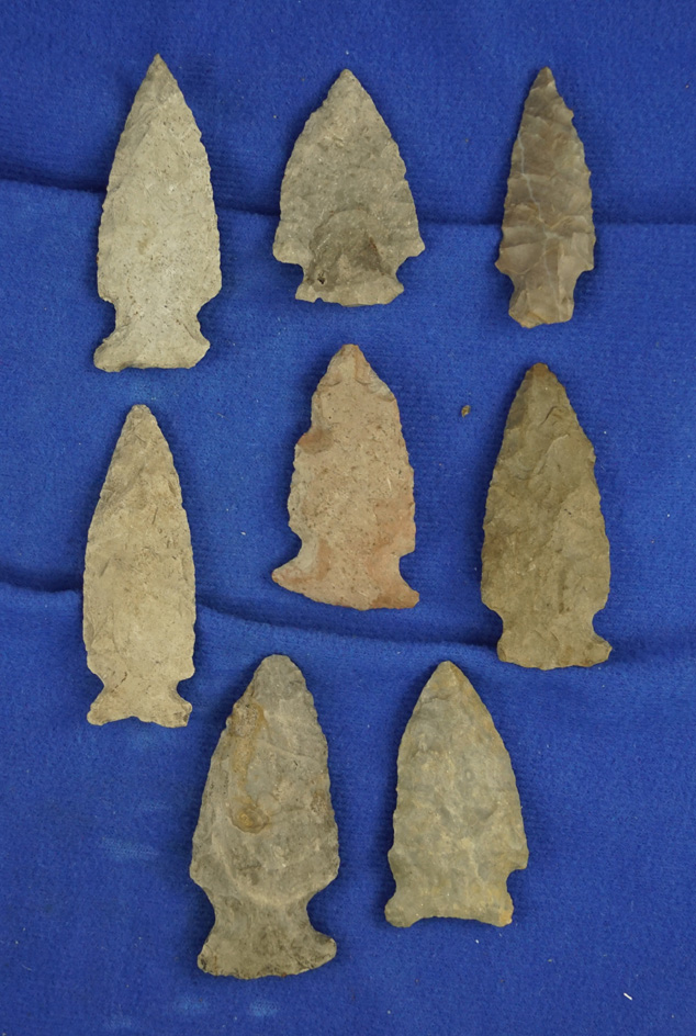 Set of eight nice arrowheads found in southern Michigan, largest is 2 1/4".  Ex. Phil Wagle.