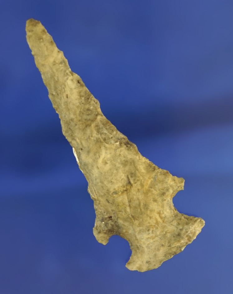 2 9/16" cornernotch drill that is heavily patinated found in Florida.