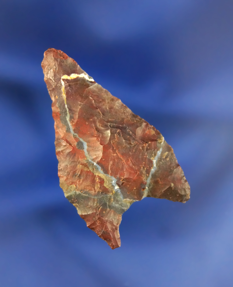 1 13/16" Columbia Mule Ear - Attractive multicolored with lightning lines found near the Columbia Ri