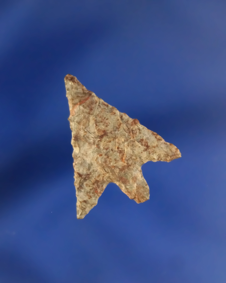 15/16" Rabbit Island that is heavily patinated found by Kaye Don Bruce near the Columbia River.