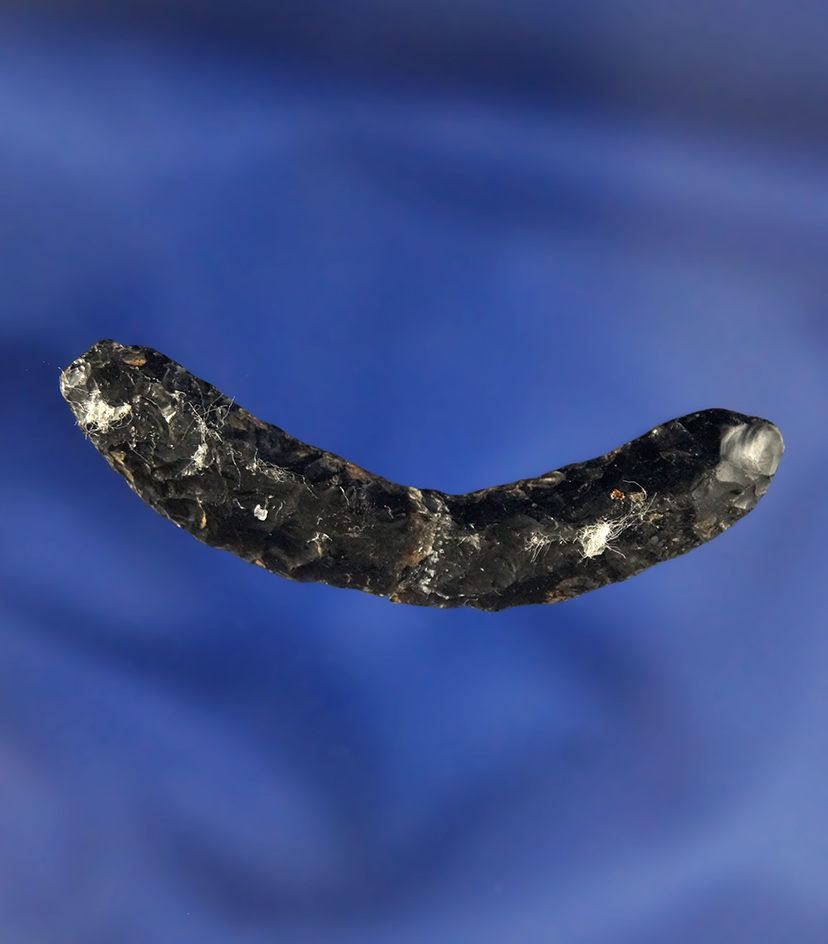 Very rare! 1 15/16" Obsidian Nose Ornament that is broken and glued tight at the mid section