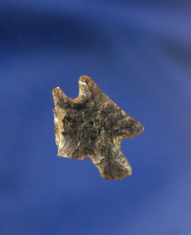 Rare style! 3/4" Rose Spring Double Tip made from Obsidian that is well patinated - California