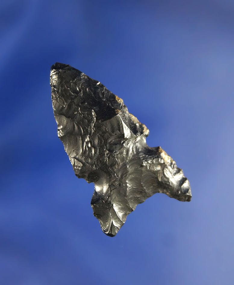 1 5/8" Obsidian Northern Sidenotch found in Oregon.