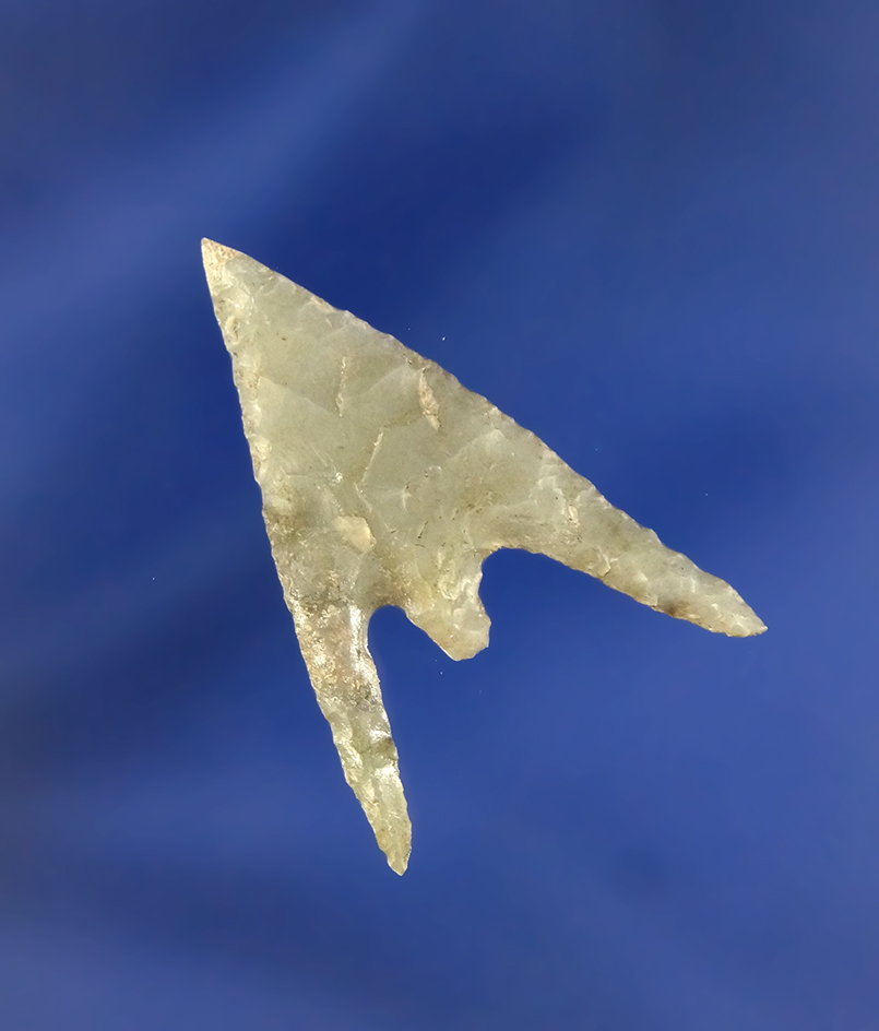 1 5/16" Gunther found in Oregon with one restored ear.